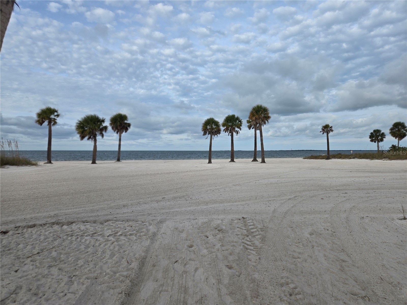 747 Cajeput Loop Tarpon Springs FL 34689 W7882074 image96