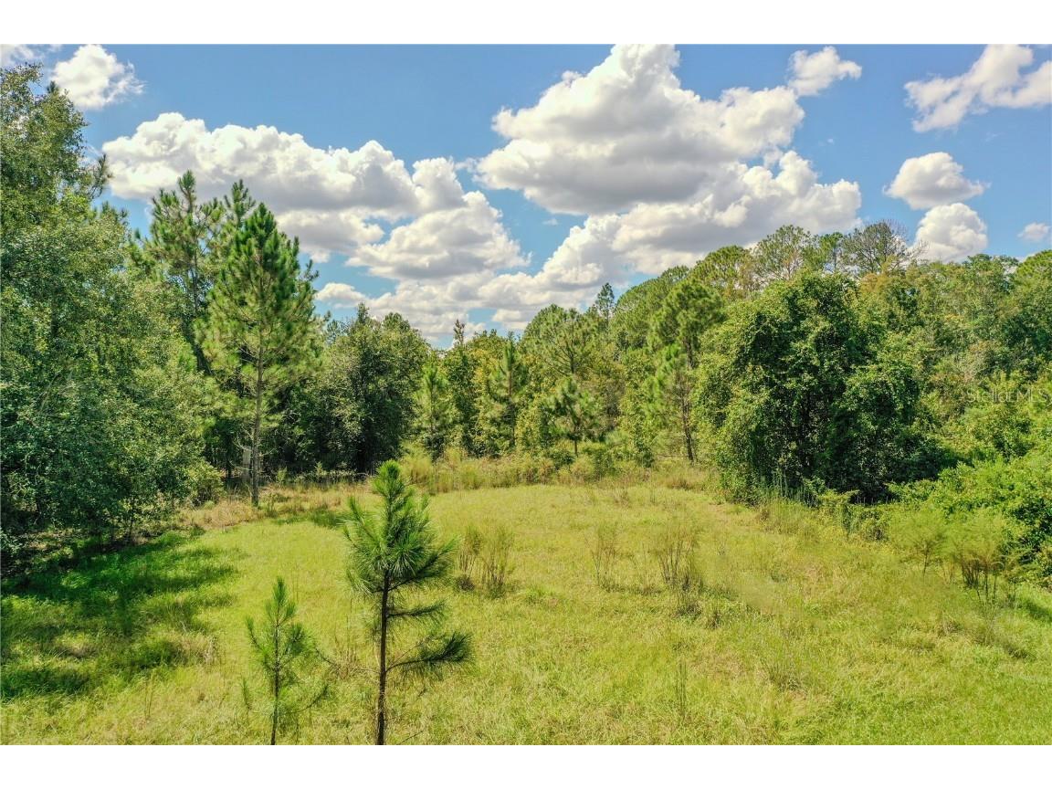 747 Miranda Trail Lakeland FL 33809 P4936324 image10