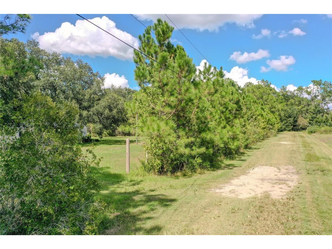 747 Miranda Trail Lakeland FL 33809 P4936324 image14