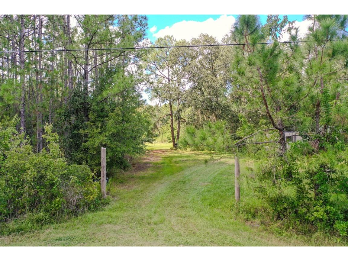 747 Miranda Trail Lakeland FL 33809 P4936324 image15