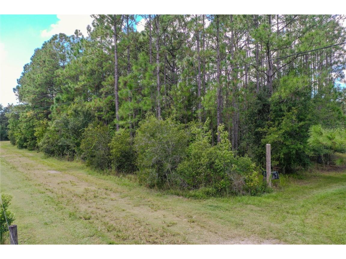 747 Miranda Trail Lakeland FL 33809 P4936324 image16