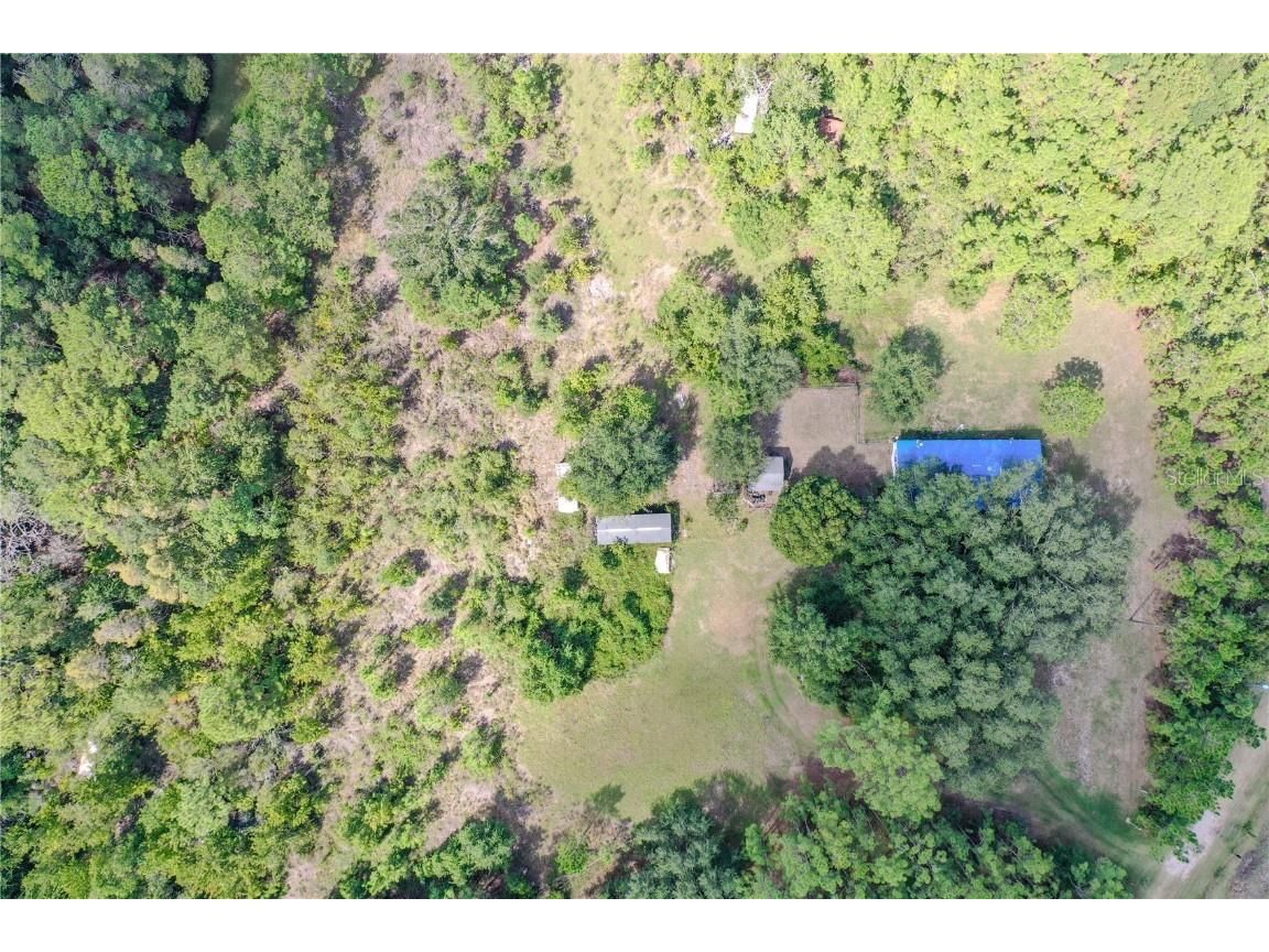 747 Miranda Trail Lakeland FL 33809 P4936324 image17