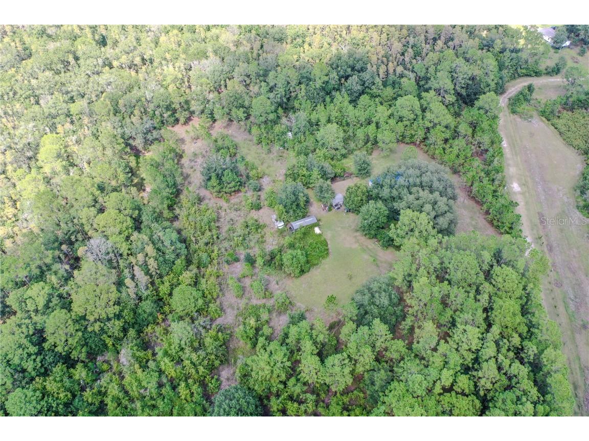 747 Miranda Trail Lakeland FL 33809 P4936324 image18