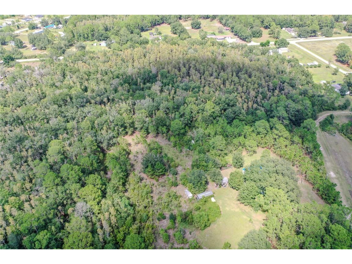 747 Miranda Trail Lakeland FL 33809 P4936324 image2