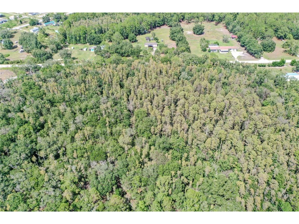 747 Miranda Trail Lakeland FL 33809 P4936324 image3