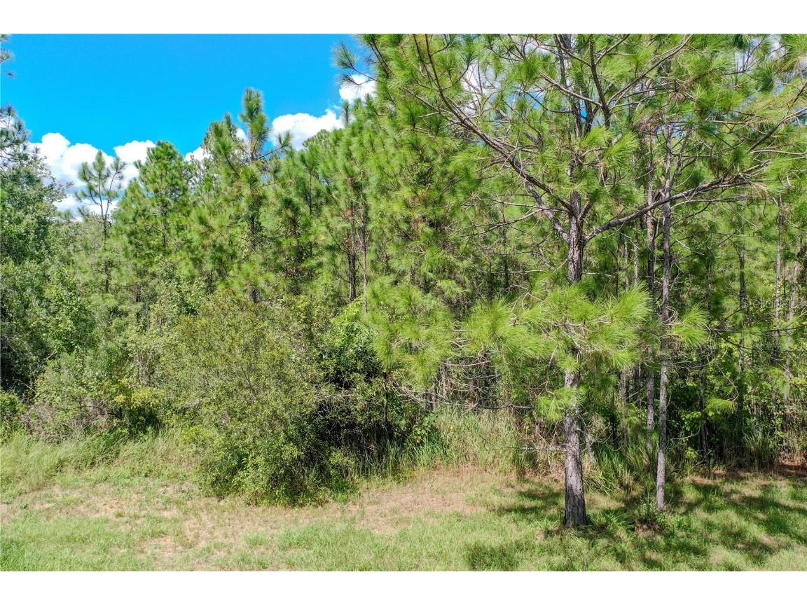 747 Miranda Trail Lakeland FL 33809 P4936324 image8