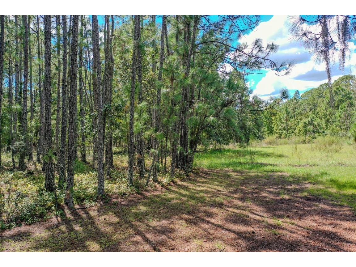 747 Miranda Trail Lakeland FL 33809 P4936324 image9