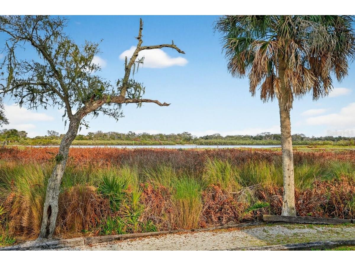 747 Navigators Way Edgewater FL 32141 - INDIAN RIVER NS1087510 image17