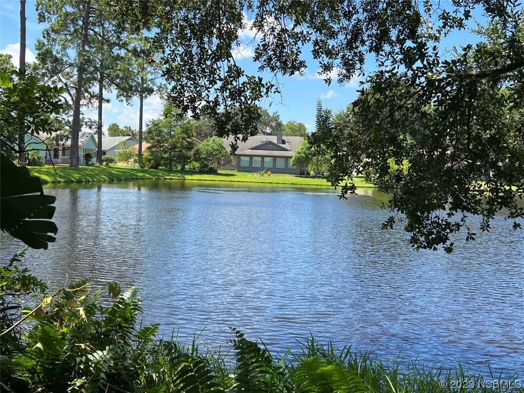 747 Pine Shores New Smyrna Beach FL 32168 NS1076702 image1