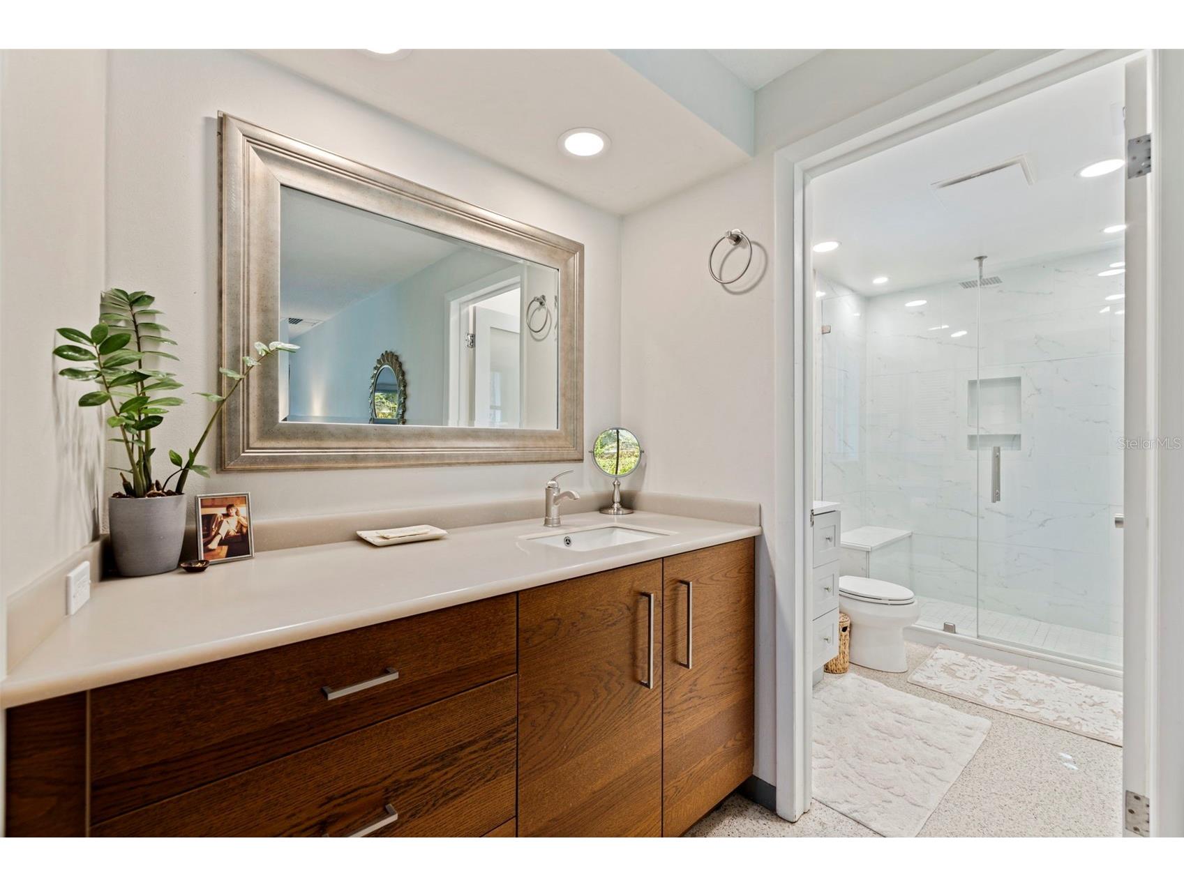 747 Sabal Court S Saint Petersburg FL 33705 TB8509422 image20
