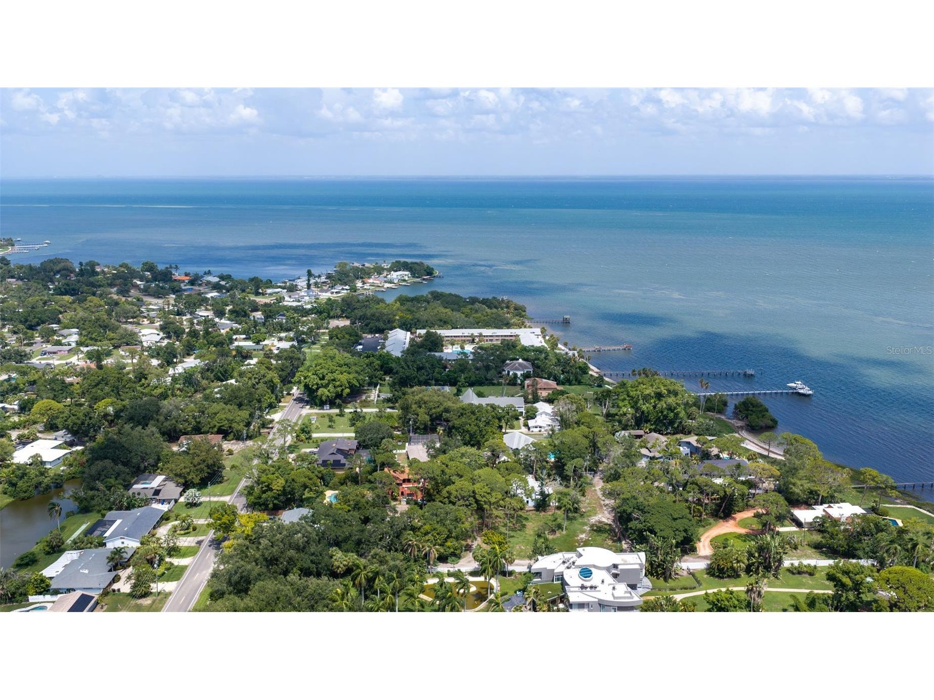 747 Sabal Court S Saint Petersburg FL 33705 TB8509422 image50
