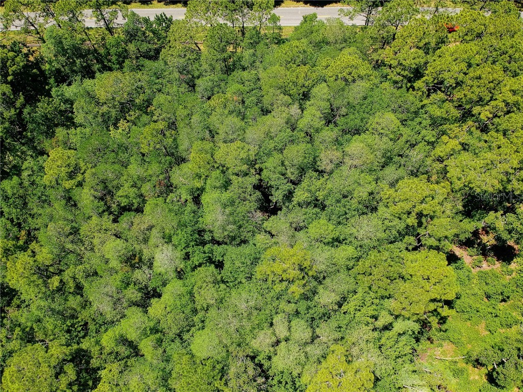 747 W River Road Palatka FL 32177 A4606892 image1