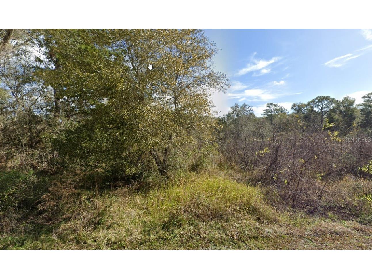 7470 Castleberry Drive Webster FL 33597 G5074240 image1