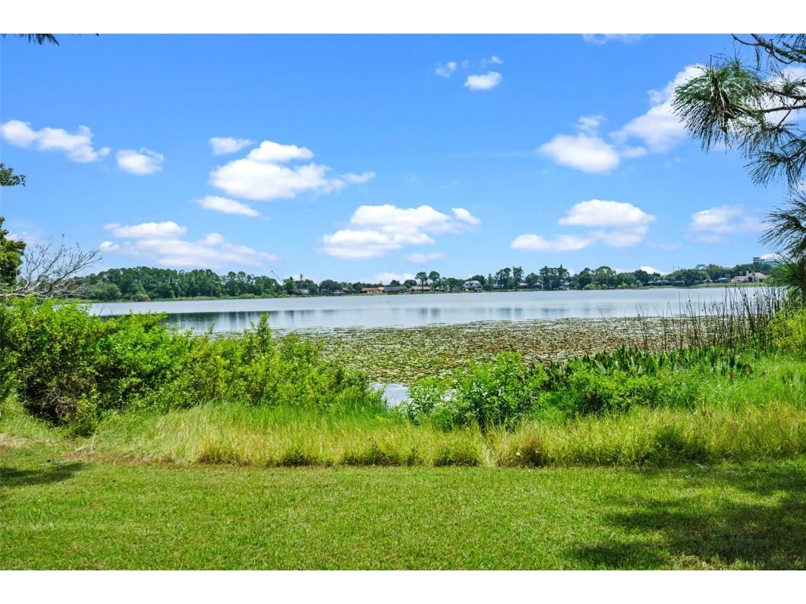 7470 Lake Marsha Drive Orlando FL 32819 - LAKE MARSHA O6362437 image37