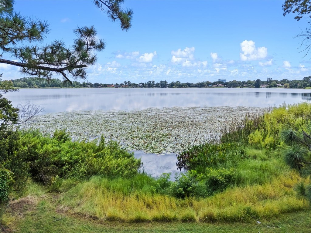 7470 Lake Marsha Drive Orlando FL 32819 - LAKE MARSHA O6362437 image38