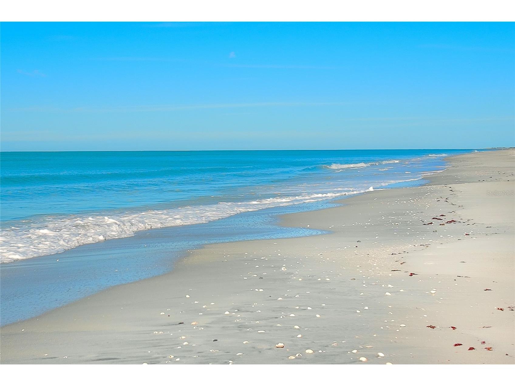 7470 Palm Island Drive #2811 Placida FL 33946 D6146063 image35