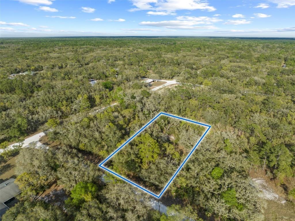 7470 Wagers Drive Webster FL 33597 T3437205 image1