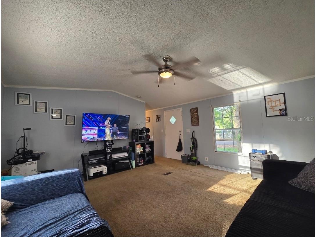 7473 135th Circle Live Oak FL 32060 OM725271 image3