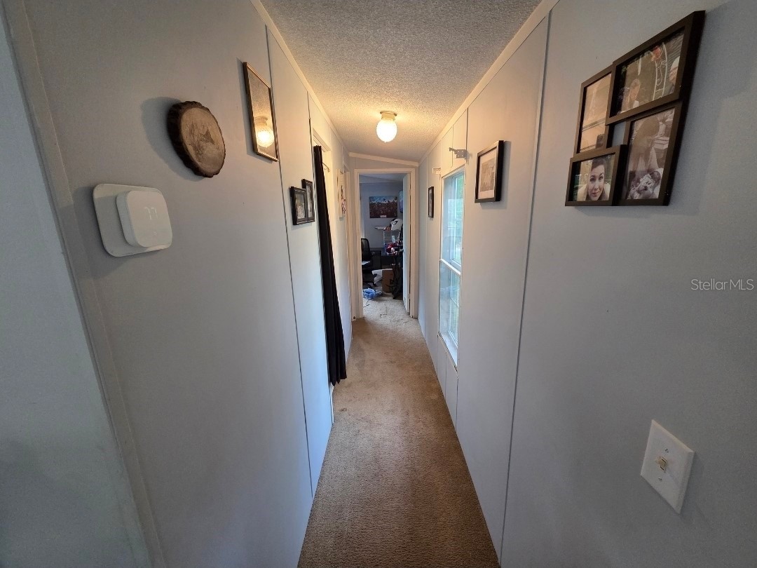 7473 135th Circle Live Oak FL 32060 OM725271 image8
