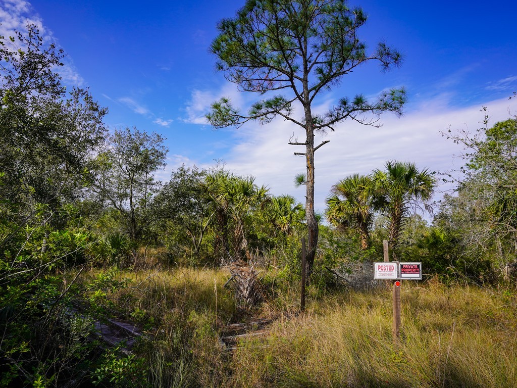 7473 7491 & 7507 Alfred Boulevard Punta Gorda FL 33982 C7502748 image12