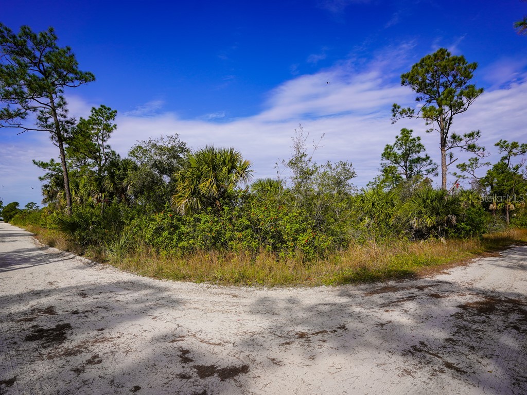 7473 7491 & 7507 Alfred Boulevard Punta Gorda FL 33982 C7502748 image2