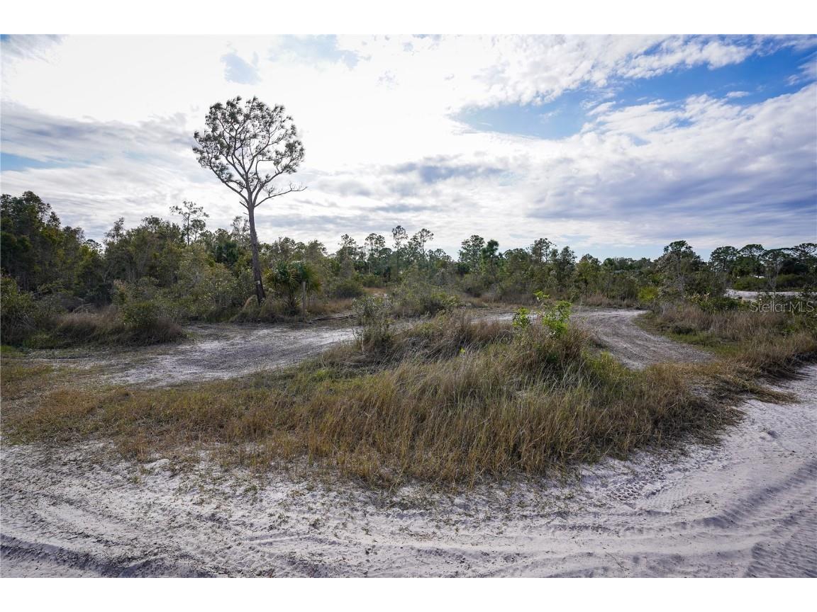 7473 7491 & 7507 Alfred Boulevard Punta Gorda FL 33982 C7502748 image4