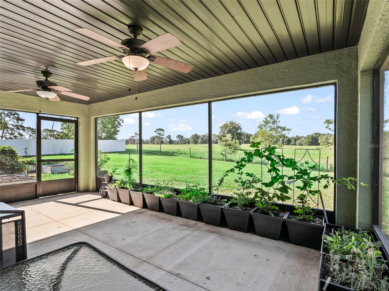 7474 SE 107 Place Belleview FL 34420 G5113770 image34