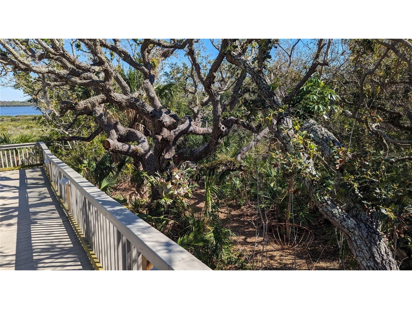 7475 Manasota Key Road Englewood FL 34223 N6131395 image51