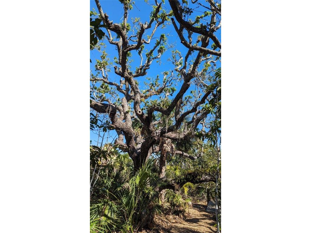 7475 Manasota Key Road Englewood FL 34223 N6131395 image58