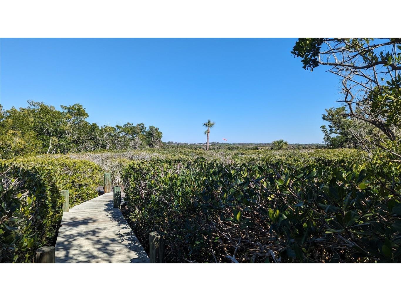 7475 Manasota Key Road Englewood FL 34223 N6131395 image61
