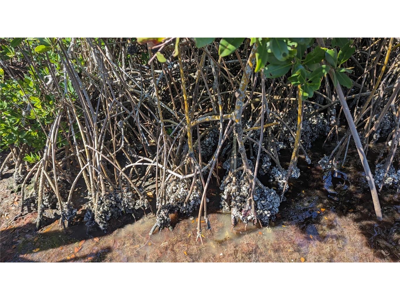 7475 Manasota Key Road Englewood FL 34223 N6131395 image67