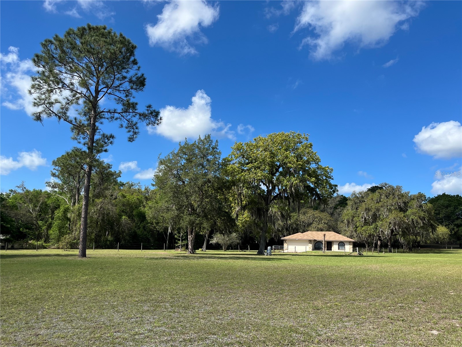7478 Cr 663 Bushnell FL 33513 G5110446 image2