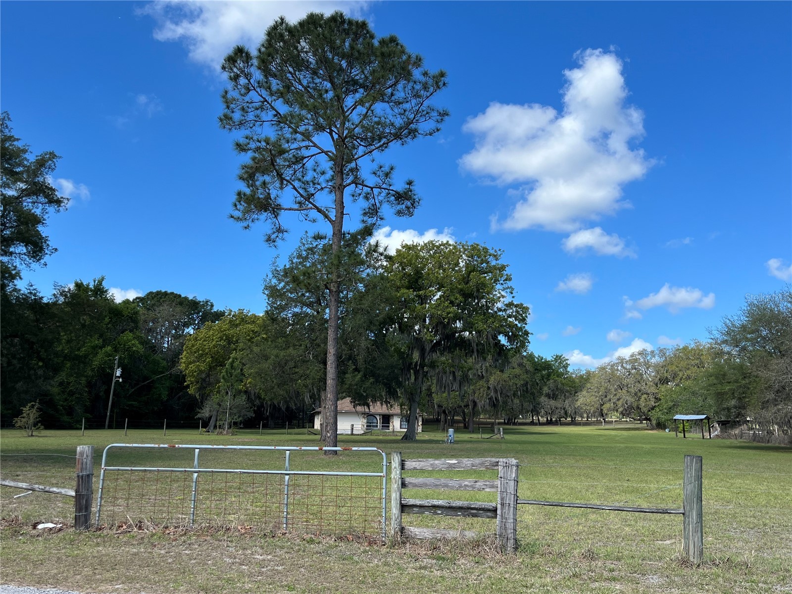 7478 Cr 663 Bushnell FL 33513 G5110446 image4
