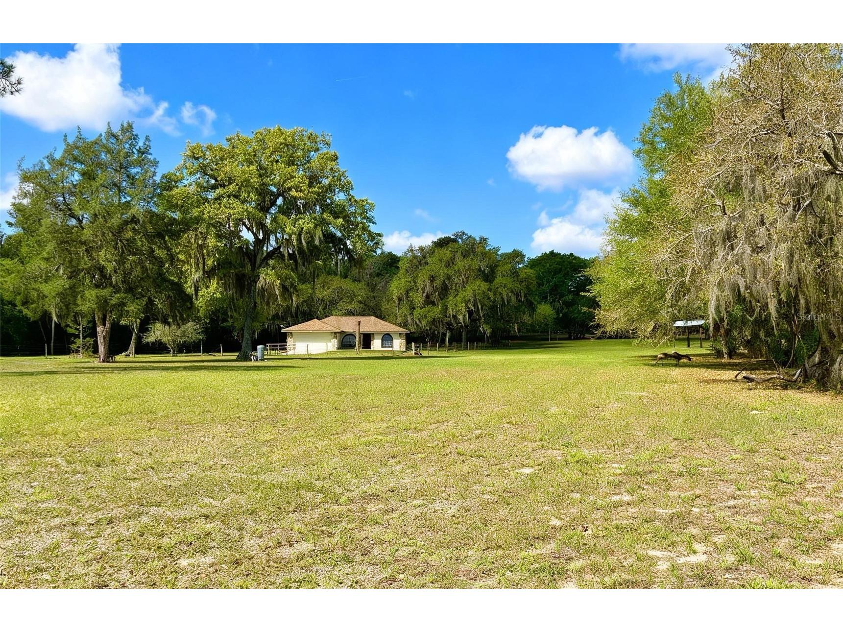 7478 Cr 663 Bushnell FL 33513 G5110446 image5