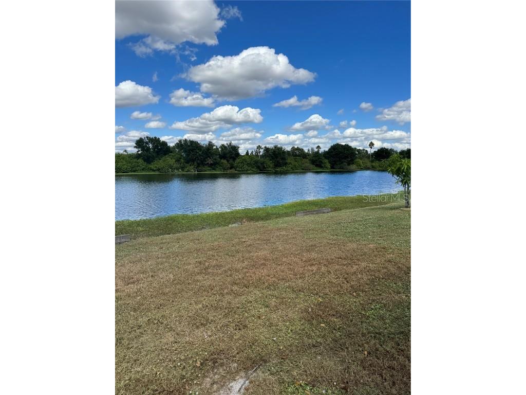 748 Burlwood Street Brandon FL 33511 TB8442419 image13