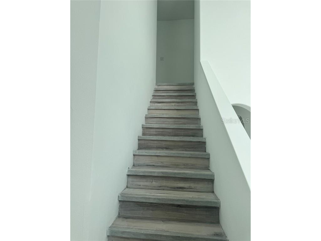 748 Burlwood Street Brandon FL 33511 TB8442419 image14