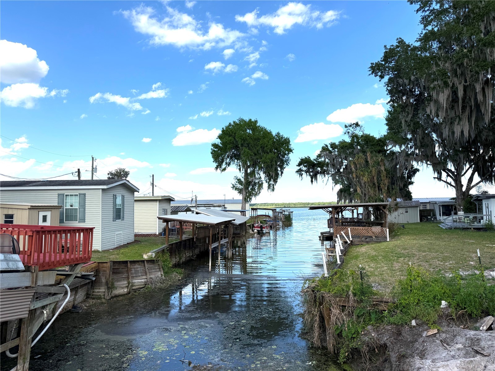748 Cr 477a Lake Panasoffkee FL 33538 OM723307 image3