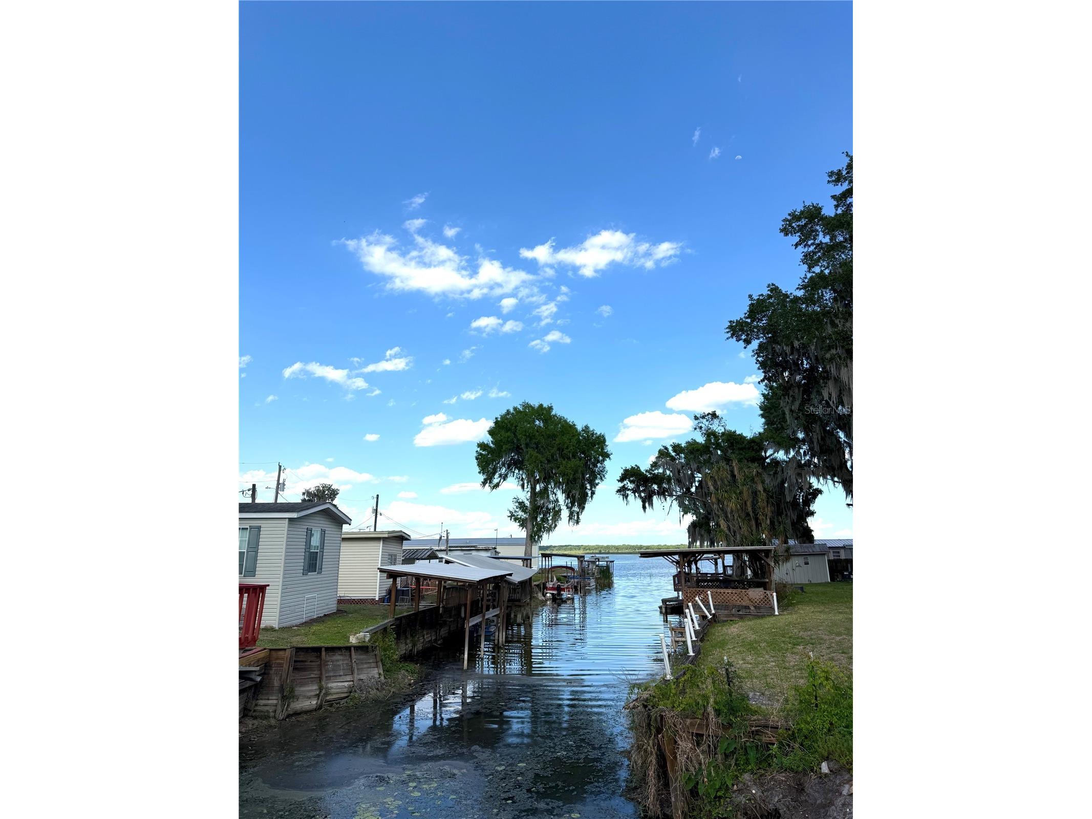 748 Cr 477a Lake Panasoffkee FL 33538 OM723307 image4