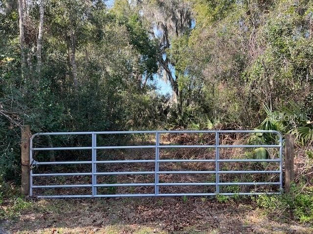 748 N Ridgewood Avenue Deland FL 32720 J997462 image1