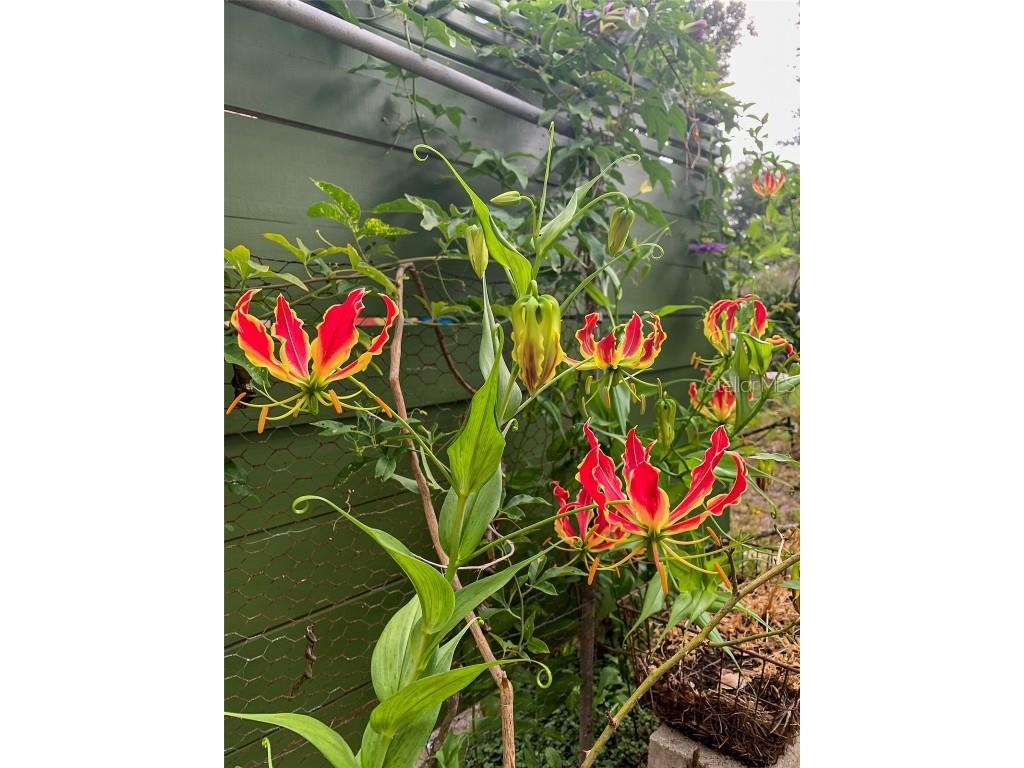 748 W Florence Avenue Deland FL 32720 O6312086 image33