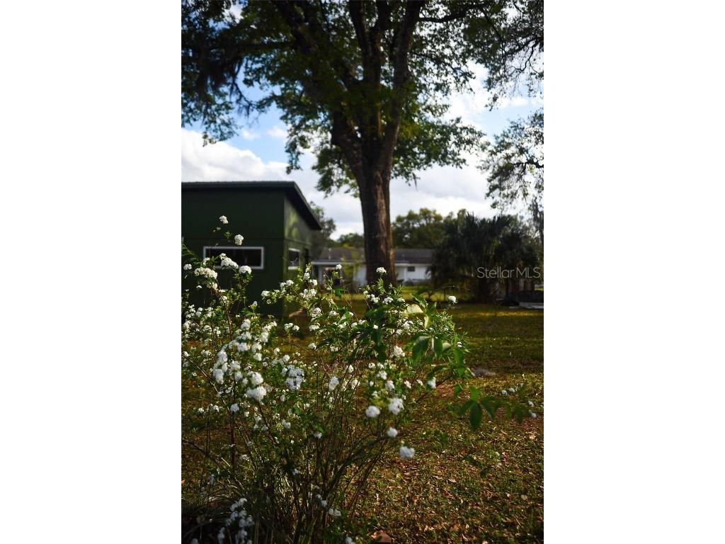 748 W Florence Avenue Deland FL 32720 O6312086 image34