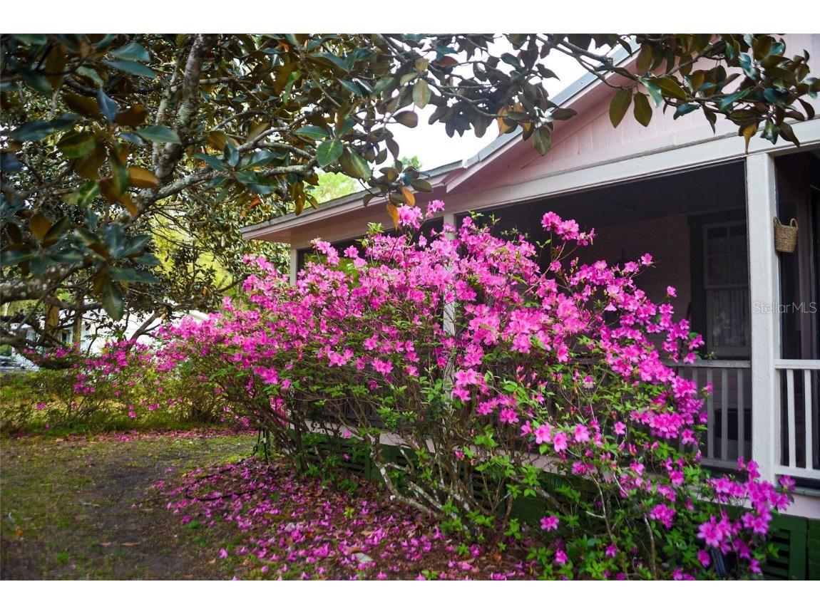 748 W Florence Avenue Deland FL 32720 O6312086 image45