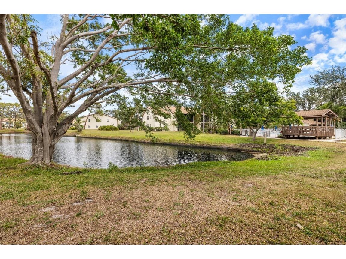 748 White Pine Tree Road #204 Venice FL 34285 N6141778 image3