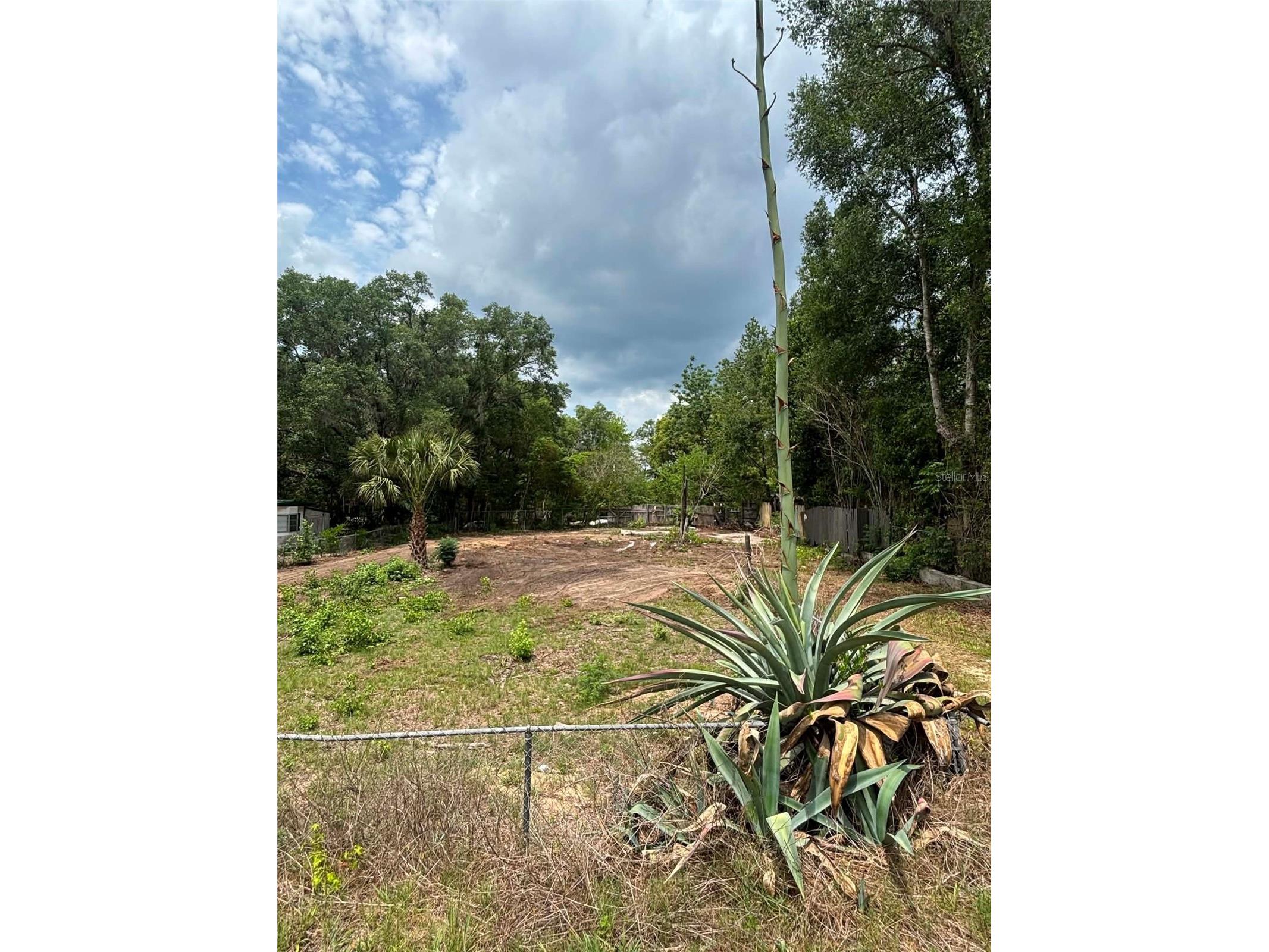 7480 Lakeview Street Keystone Heights FL 32656 GC540499 image1