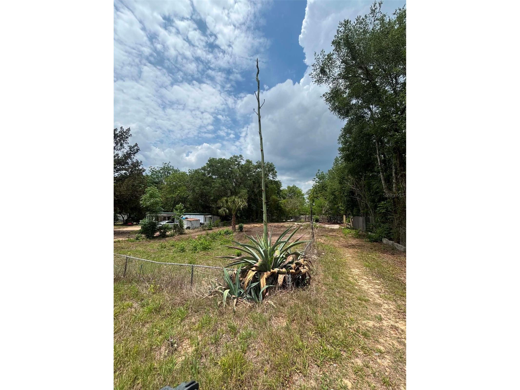 7480 Lakeview Street Keystone Heights FL 32656 GC540499 image4