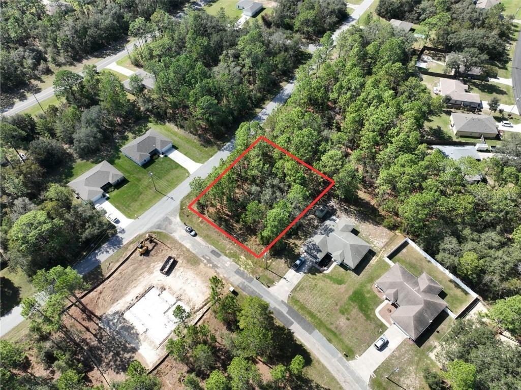 7482 N Gims Way Citrus Springs FL 34433 O6357896 image3