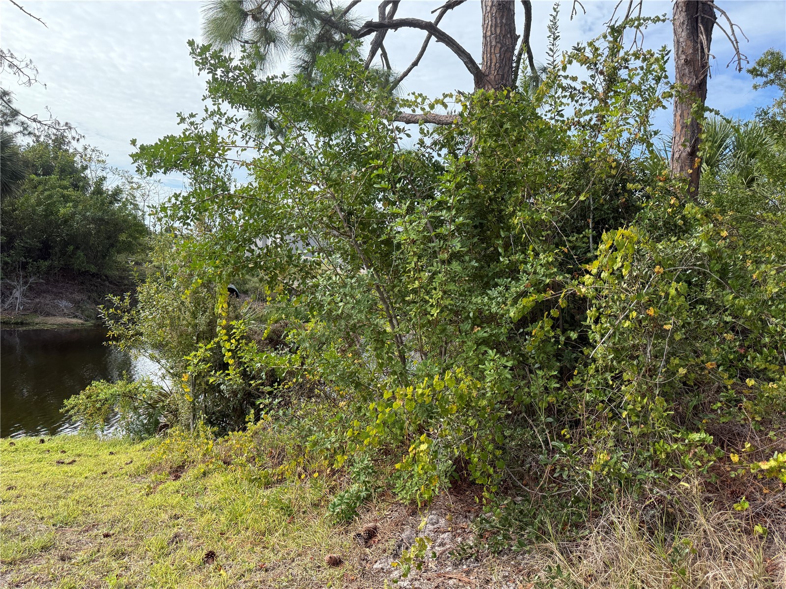 7483 Regina Drive Englewood FL 34224 A4671550 image9