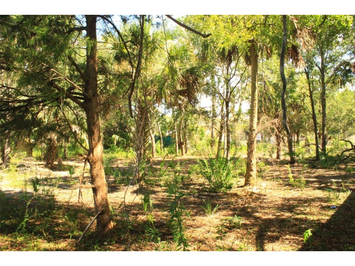 7483 W Pedersen Loop Homosassa FL 34446 U8217263 image1