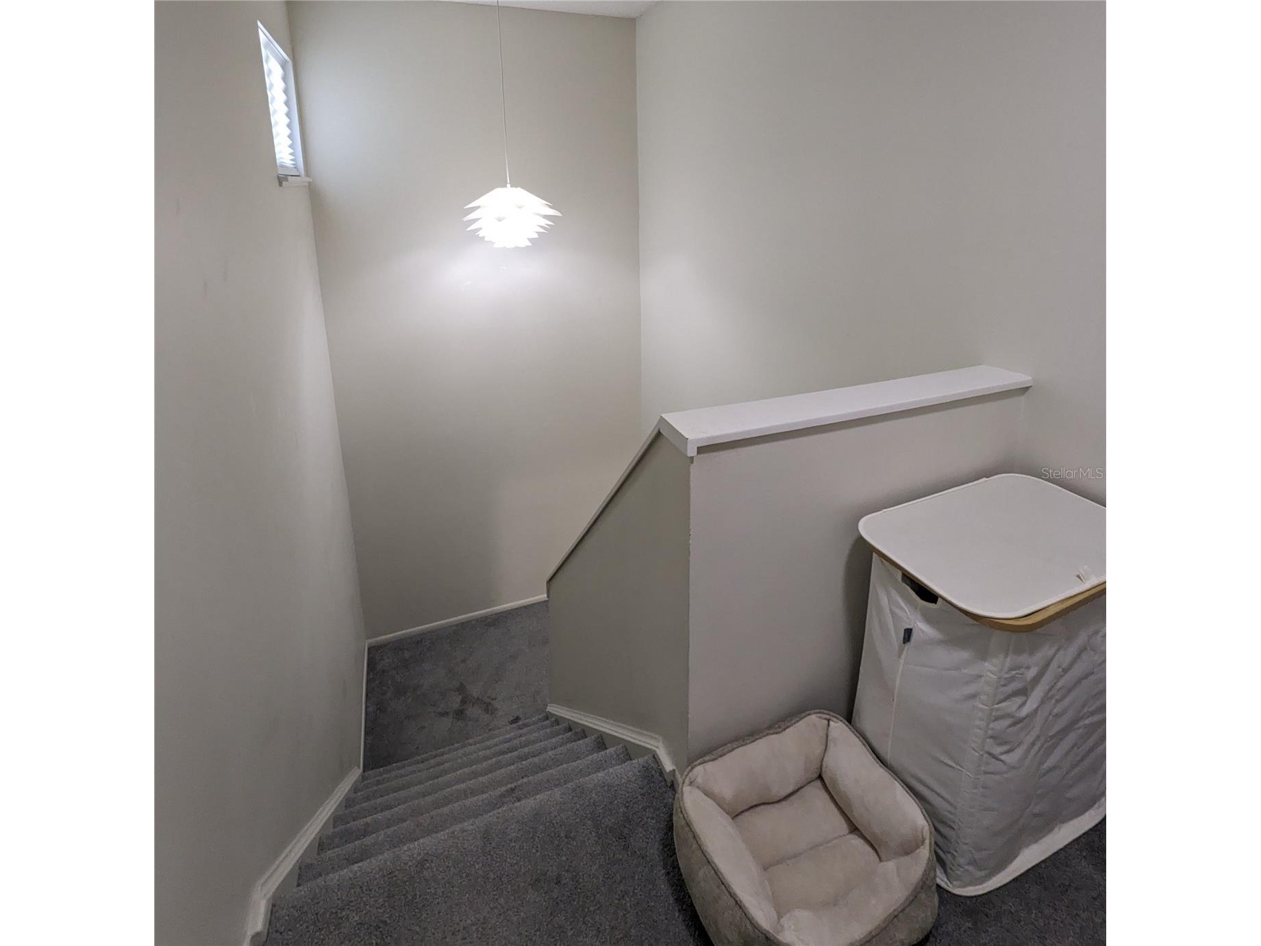 7484 Canford Court #8 Winter Park FL 32792 O6402492 image21