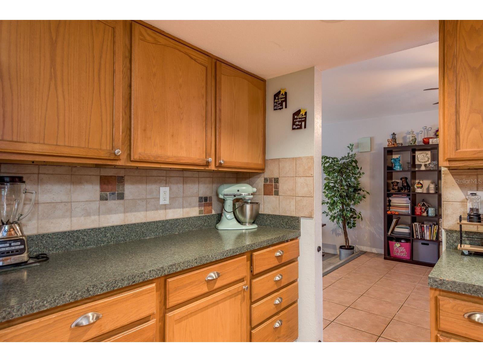 7487 Alhambra Court Spring Hill FL 34606 W7881069 image18